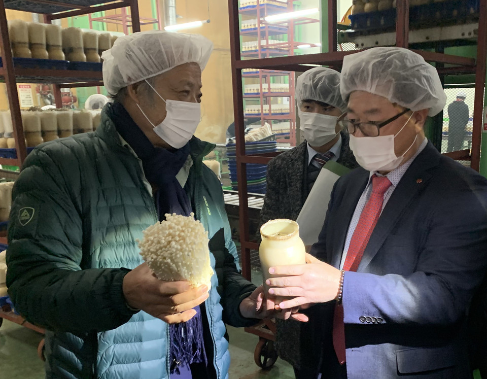 박일준 동서발전 사장(오른쪽)이 지난 1월 10일 버섯배지 펠릿 바이오연료화 사업에 협력하고 있는 경북 청도군 소재 그린피스농원(대표 박희주)을 찾아 버섯 생산시설 및 배지 발생 현황을 점검하고 있다.