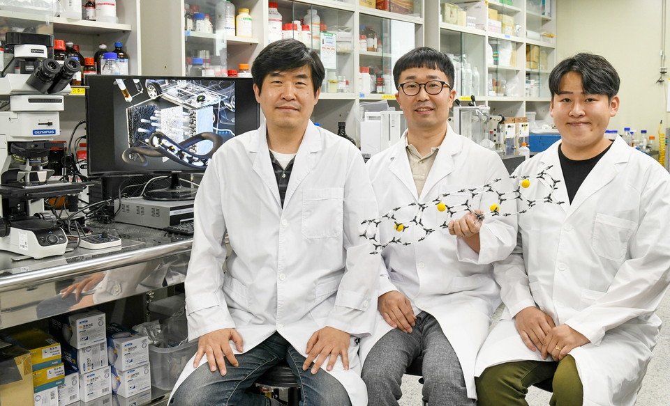 전기연구원 리튬금속전지용 리튬 저장 기술 연구팀. (왼쪽부터 이상민 박사, 김병곤 박사, 강동우 연구원)