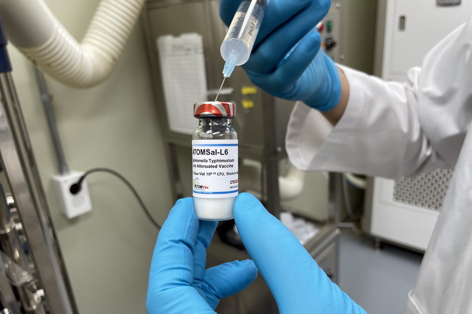원자력연구원이 개발한 살모넬라 백신(ATOMSal-L6).